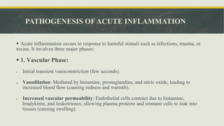 Acute & Chronic Inflammation, Chemical mediators in Inflammation and