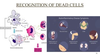 INFLAMMATION - GENERAL CHARACTERTISTICS | PPTX