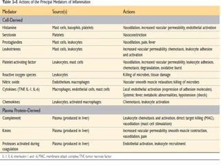 Comprehensive Overview of Inflammation: Acute and Chronic Processes ...