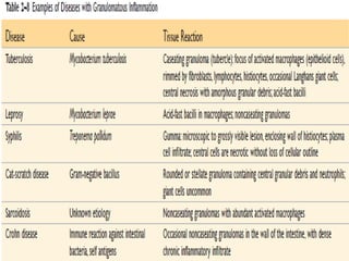 Comprehensive Overview of Inflammation: Acute and Chronic Processes ...
