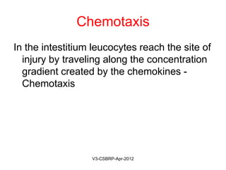 Chemotaxis of LeukocytesChemotaxis of Leukocytes
May-2015-CSBRP
 