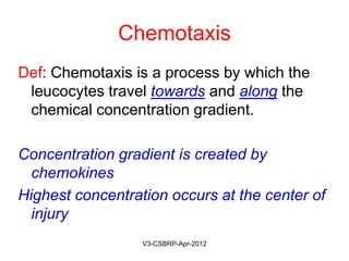 Chemotaxis
In the intestitium leucocytes reach the site of
injury by traveling along the concentration
gradient created by the chemokines -
Chemotaxis
May-2015-CSBRP
 