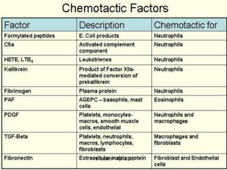 Chemotaxis
• Leukocytes follow chemical gradient to the site
of injury
• Chemotactic agents: include
– Soluble bacterial products
– Complement components (C5a)
– Cytokines (chemokine family e.g., IL-8)
– LTB4 (AA metabolite)
• Chemotactic agents bind surface receptors
inducing calcium mobilization and assembly of
cytoskeletal contractile elements
May-2015-CSBRP
 