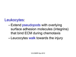 Chemotactic substances will bind to
leukocyte receptors, initiating a stimulus –
receptor interaction that leads to activation
of intracellular contractile proteins
May-2015-CSBRP
 