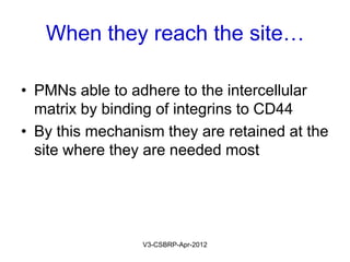 Chemotaxis
May-2015-CSBRP
 