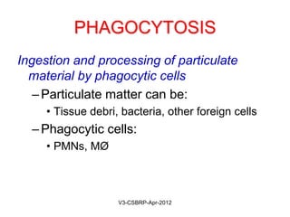 Details of Leukocyte Chemotaxis:
Neutrophil adheres via integrin binding
Integrin binds to FN in ECM
Actually recognizes RGD sequence (arg-gly-asp) in FN (not shown in figure)
RGD is also found in other ECM proteins
Integrin is recycled
May-2015-CSBRP
 