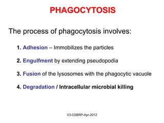 PHAGOCYTOSISPHAGOCYTOSIS
Ingestion and processing of particulate
material by phagocytic cells
–Particulate matter can be:
• Tissue debris, bacteria, other foreign cells
–Phagocytic cells:
• PMNs
• MØ
May-2015-CSBRP
 
