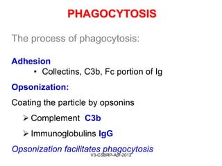 Process of Phagocytosis
May-2015-CSBRP
 