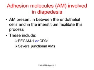 Adhesion molecules (AM) involved
in diapedesis
• AM present in between the endothelial
cells and in the interstitium facilitate this
process
• These include:
• PECAM-1 or CD31
• Several junctional AMs
May-2015-CSBRP
 