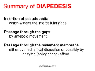 Summary of DIAPEDESIS
Insertion of pseudopodia
which widens the intercellular gaps
Passage through the gaps
by ameboid movement
Passage through the basement membrane
either by mechanical disruption or possibly by
enzyme (collagenase) effect
May-2015-CSBRP
 