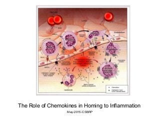 The Role of Chemokines in Homing to Inflammation
May-2015-CSBRP
 