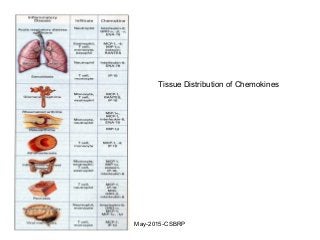 Tissue Distribution of Chemokines
May-2015-CSBRP
 