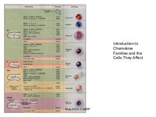 Introduction to
Chemokine
Families and the
Cells They Affect
May-2015-CSBRP
 