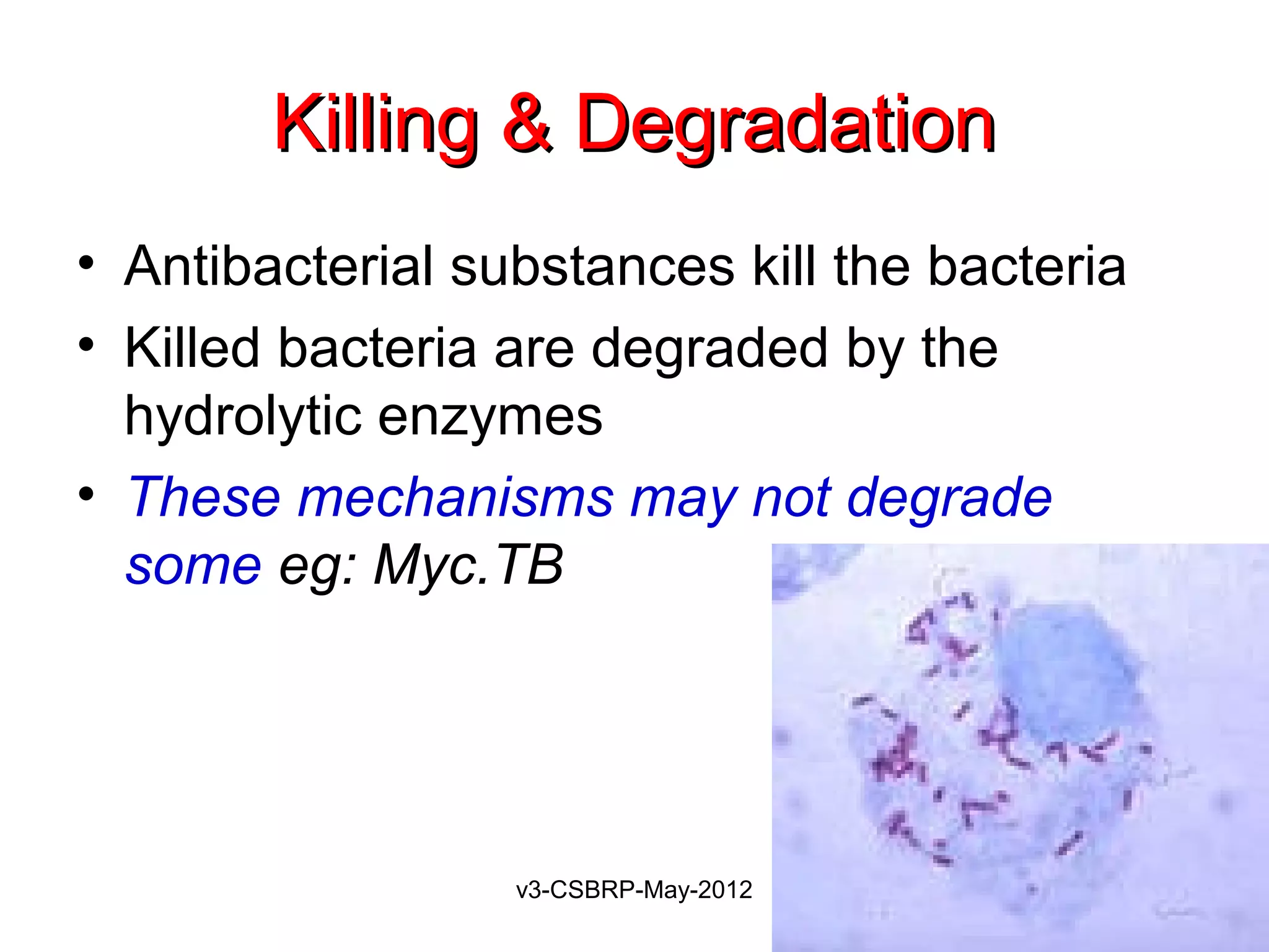 Killing & Degradation
• Antibacterial substances kill the bacteria
• Killed bacteria are degraded by the
  hydrolytic enzymes
• These mechanisms may not degrade
  some eg: Myc.TB




                  v3-CSBRP-May-2012
 
