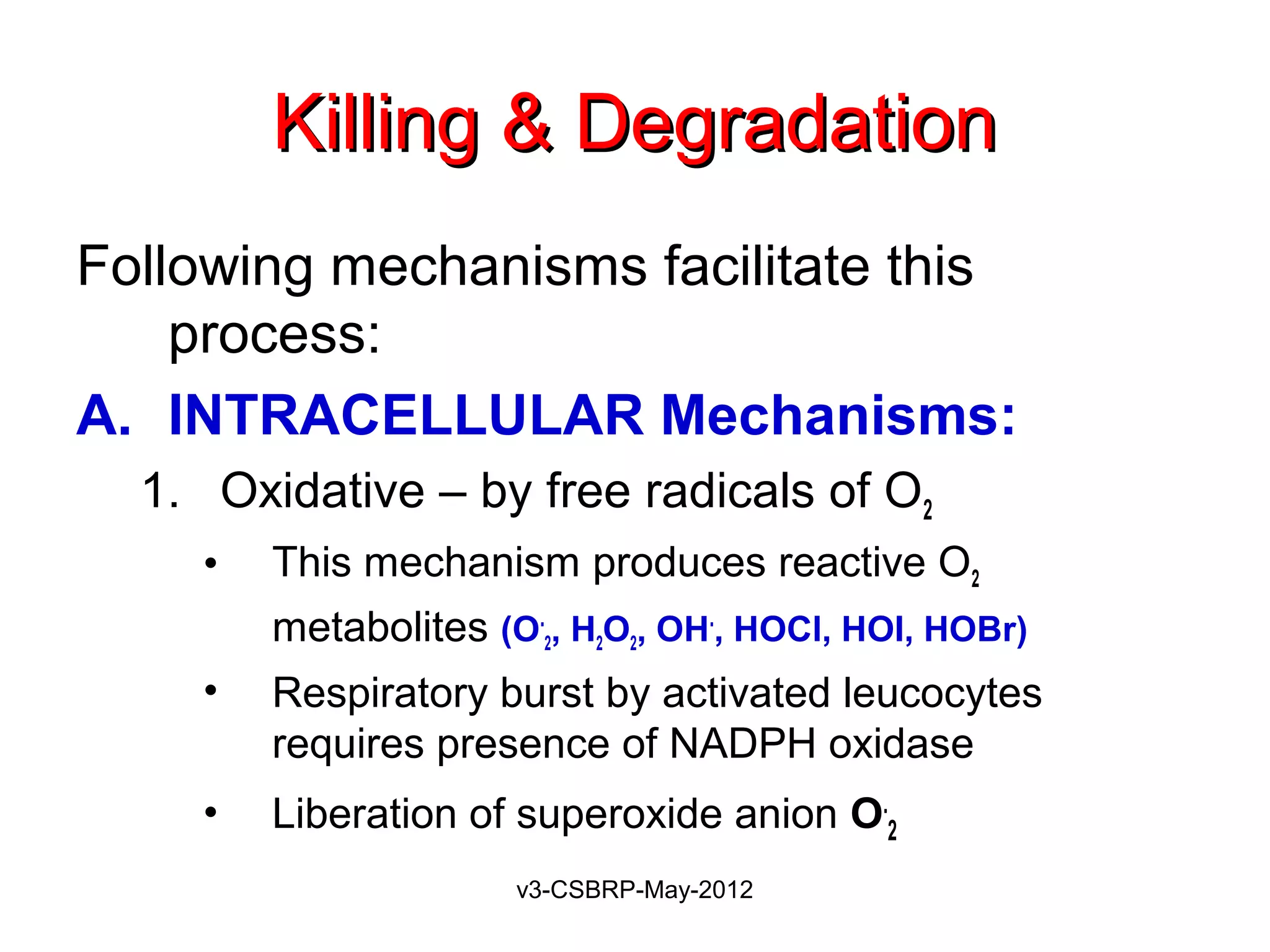 Killing & Degradation
Following mechanisms facilitate this
    process:
A. INTRACELLULAR Mechanisms:
  1. Oxidative – by free radicals of O2
    •   This mechanism produces reactive O2
        metabolites (O.2, H2O2, OH., HOCl, HOI, HOBr)
    •   Respiratory burst by activated leucocytes
        requires presence of NADPH oxidase
    •   Liberation of superoxide anion O.2
                      v3-CSBRP-May-2012
 