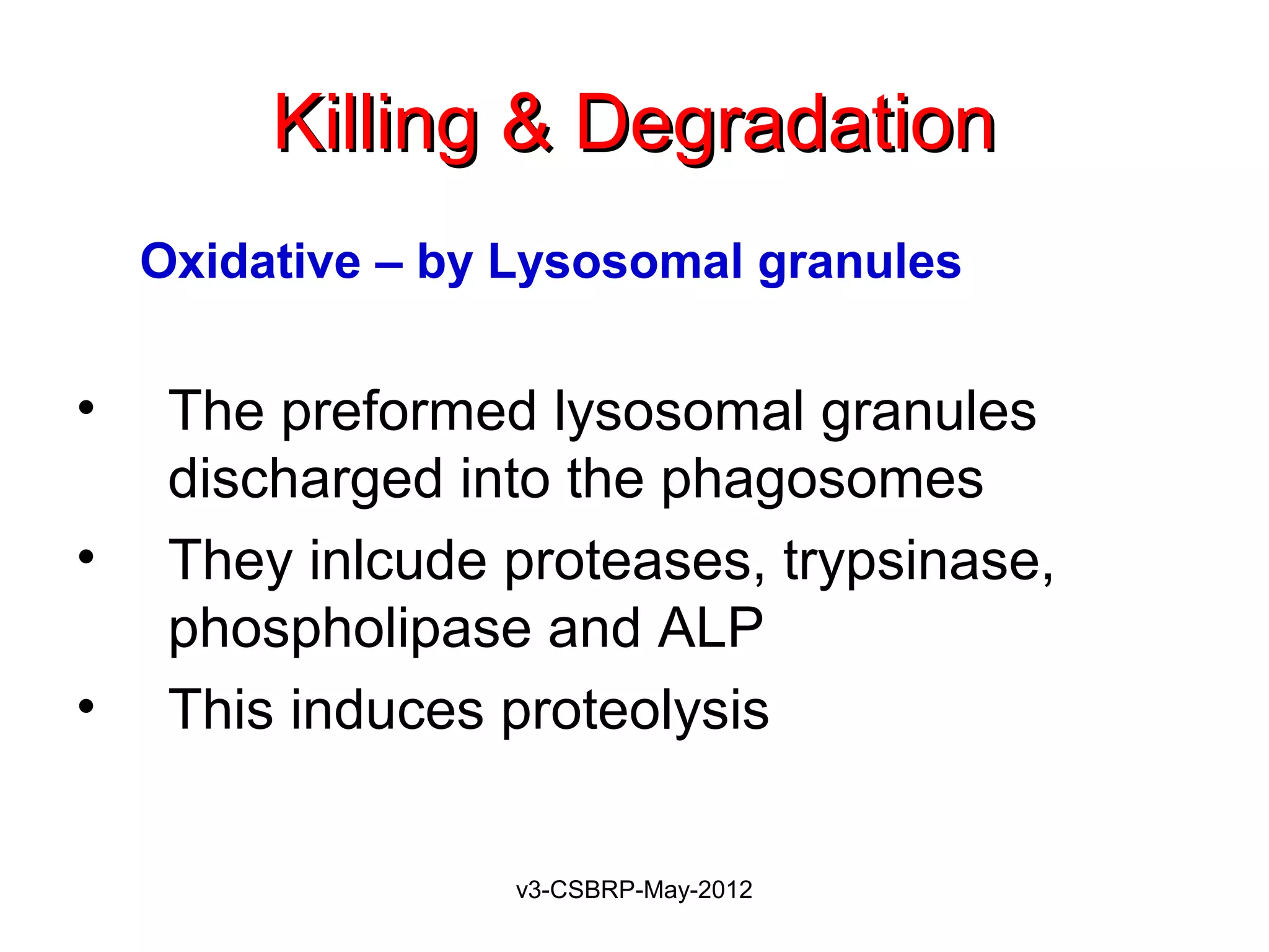 Killing & Degradation
    Oxidative – by Lysosomal granules


•    The preformed lysosomal granules
     discharged into the phagosomes
•    They inlcude proteases, trypsinase,
     phospholipase and ALP
•    This induces proteolysis


                   v3-CSBRP-May-2012
 