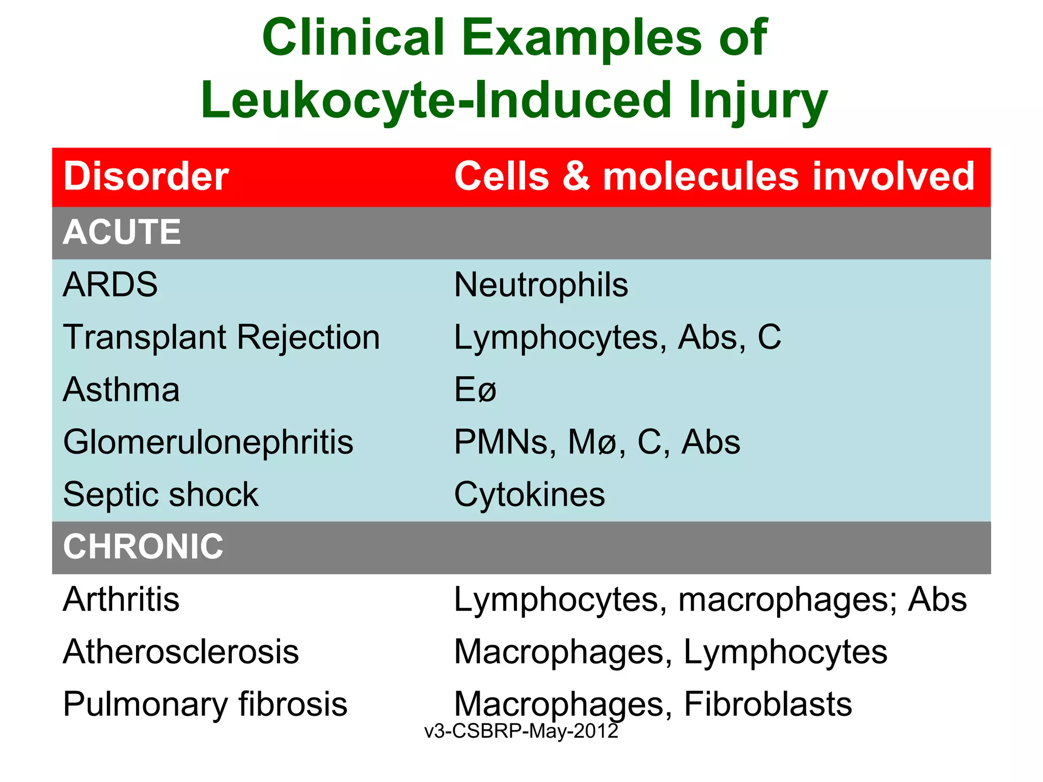 Clinical Examples of
            Leukocyte-Induced Injury
Disorder                 Cells & molecules involved
ACUTE
ARDS                     Neutrophils
Transplant Rejection     Lymphocytes, Abs, C
Asthma                   Eø
Glomerulonephritis       PMNs, Mø, C, Abs
Septic shock             Cytokines
CHRONIC
Arthritis                Lymphocytes, macrophages; Abs
Atherosclerosis          Macrophages, Lymphocytes
Pulmonary fibrosis       Macrophages, Fibroblasts
                       v3-CSBRP-May-2012
 