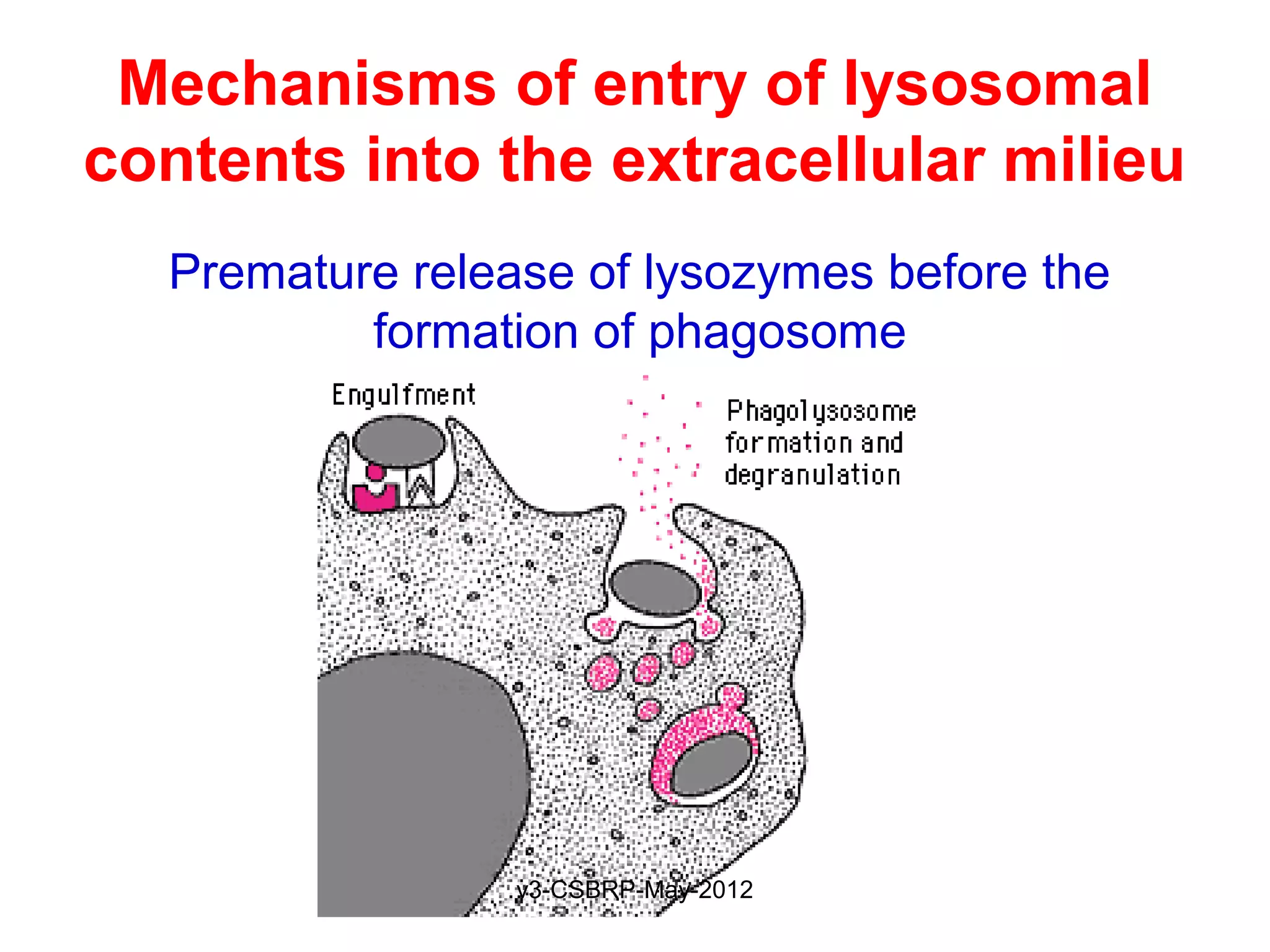 Mechanisms of entry of lysosomal
contents into the extracellular milieu
  Premature release of lysozymes before the
          formation of phagosome




                 v3-CSBRP-May-2012
 