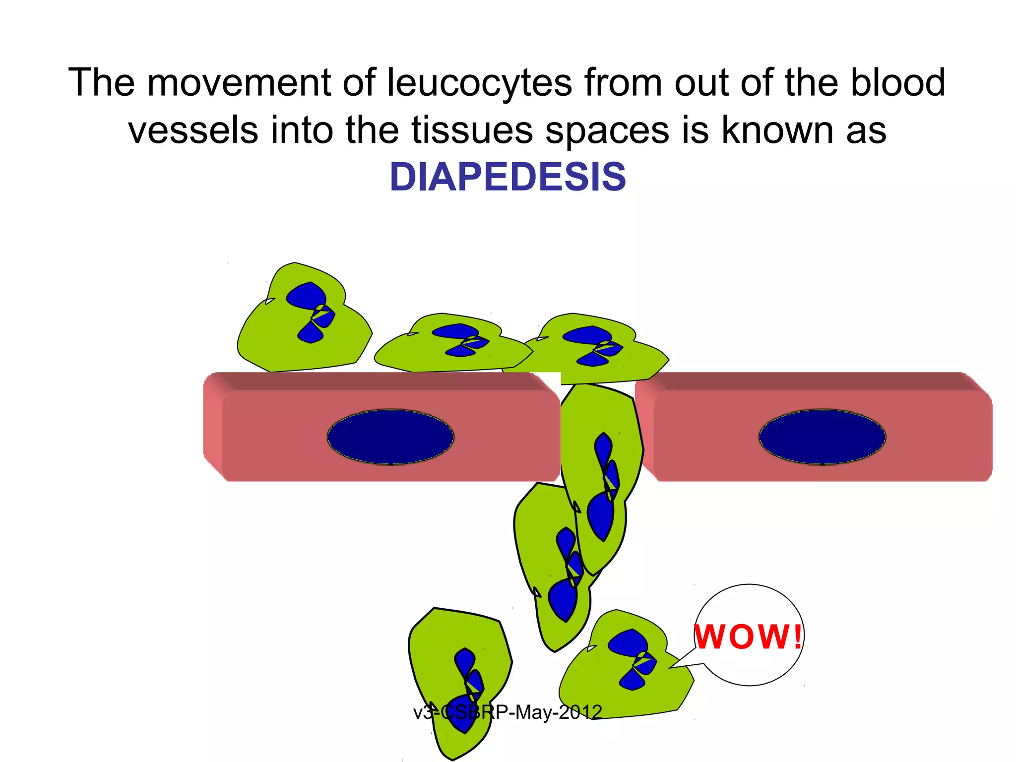 The movement of leucocytes from out of the blood
   vessels into the tissues spaces is known as
                  DIAPEDESIS




                                      WOW!

                  v3-CSBRP-May-2012
 