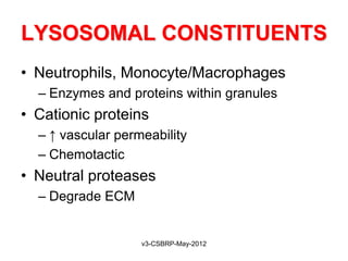LYSOSOMAL CONSTITUENTS
• Neutrophils, Monocyte/Macrophages
  – Enzymes and proteins within granules
• Cationic proteins
  – ↑ vascular permeability
  – Chemotactic
• Neutral proteases
  – Degrade ECM


                   v3-CSBRP-May-2012
 