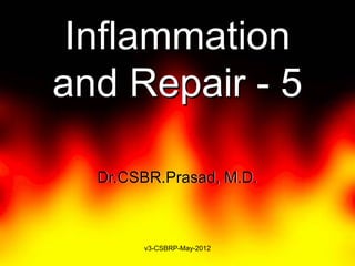Inflammation
and Repair - 5

  Dr.CSBR.Prasad, M.D.



       v3-CSBRP-May-2012
 