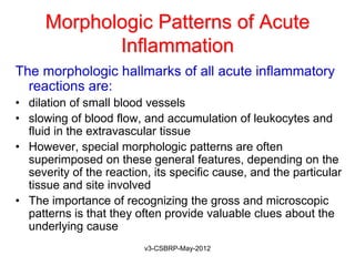 Morphologic Patterns of Acute
             Inflammation
The morphologic hallmarks of all acute inflammatory
  reactions are:
• dilation of small blood vessels
• slowing of blood flow, and accumulation of leukocytes and
  fluid in the extravascular tissue
• However, special morphologic patterns are often
  superimposed on these general features, depending on the
  severity of the reaction, its specific cause, and the particular
  tissue and site involved
• The importance of recognizing the gross and microscopic
  patterns is that they often provide valuable clues about the
  underlying cause
                          v3-CSBRP-May-2012
 