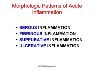 Morphologic Patterns of Acute
       Inflammation

    SEROUS INFLAMMATION
    FIBRINOUS INFLAMMATION
    SUPPURATIVE INFLAMMATION
    ULCERATIVE INFLAMMATION



            v3-CSBRP-May-2012
 