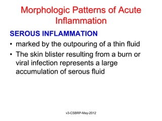 Morphologic Patterns of Acute
          Inflammation
SEROUS INFLAMMATION
• marked by the outpouring of a thin fluid
• The skin blister resulting from a burn or
  viral infection represents a large
  accumulation of serous fluid




                  v3-CSBRP-May-2012
 