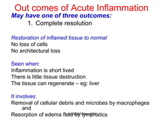 Out comes of Acute Inflammation
May have one of three outcomes:
     1. Complete resolution

Restoration of inflamed tissue to normal
No loss of cells
No architectural loss

Seen when:
Inflammation is short lived
There is little tissue destruction
The tissue can regenerate – eg: liver

It involves:
Removal of cellular debris and microbes by macrophages
      and
Resorption of edema fluid by lymphatics
                      v3-CSBRP-May-2012
 