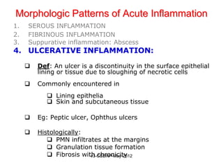 Morphologic Patterns of Acute Inflammation
1.   SEROUS INFLAMMATION
2.   FIBRINOUS INFLAMMATION
3.   Suppurative inflammation: Abscess
4. ULCERATIVE INFLAMMATION:

        Def: An ulcer is a discontinuity in the surface epithelial
         lining or tissue due to sloughing of necrotic cells
        Commonly encountered in
             Lining epithelia
             Skin and subcutaneous tissue

        Eg: Peptic ulcer, Ophthus ulcers

        Histologically:
             PMN infiltrates at the margins
             Granulation tissue formation
             Fibrosis with chronicity
                          v3-CSBRP-May-2012
 