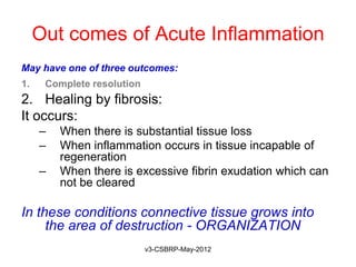 Out comes of Acute Inflammation
May have one of three outcomes:
1.    Complete resolution
2. Healing by fibrosis:
It occurs:
     –   When there is substantial tissue loss
     –   When inflammation occurs in tissue incapable of
         regeneration
     –   When there is excessive fibrin exudation which can
         not be cleared

In these conditions connective tissue grows into
     the area of destruction - ORGANIZATION
                            v3-CSBRP-May-2012
 