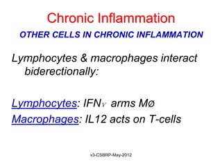 Chronic Inflammation
 OTHER CELLS IN CHRONIC INFLAMMATION

Lymphocytes & macrophages interact
  biderectionally:

Lymphocytes: IFNɣ arms MØ
Macrophages: IL12 acts on T-cells


               v3-CSBRP-May-2012
 