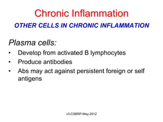 Chronic Inflammation
    OTHER CELLS IN CHRONIC INFLAMMATION

Plasma cells:
•   Develop from activated B lymphocytes
•   Produce antibodies
•   Abs may act against persistent foreign or self
    antigens




                     v3-CSBRP-May-2012
 