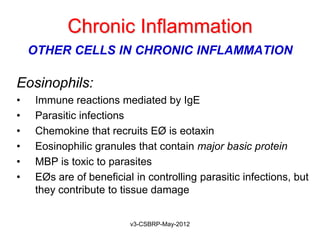Chronic Inflammation
    OTHER CELLS IN CHRONIC INFLAMMATION

Eosinophils:
•   Immune reactions mediated by IgE
•   Parasitic infections
•   Chemokine that recruits EØ is eotaxin
•   Eosinophilic granules that contain major basic protein
•   MBP is toxic to parasites
•   EØs are of beneficial in controlling parasitic infections, but
    they contribute to tissue damage


                         v3-CSBRP-May-2012
 