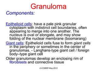Granuloma
Components:

Epithelioid cells: have a pale pink granular
  cytoplasm with indistinct cell boundaries, often
  appearing to merge into one another. The
  nucleus is oval or elongate, and may show
  folding of the nuclear membrane (boomarang)
Giant cells: Epithelioid cells fuse to form giant cells
  in the periphery or sometimes in the center of
  granulomas. - Langhans-type giant cell / foreign
  body–type giant cell
Older granulomas develop an enclosing rim of
  fibroblasts and connective tissue
                     v3-CSBRP-May-2012
 