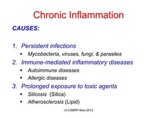 Chronic Inflammation
CAUSES:

1. Persistent infections
     Mycobacteria, viruses, fungi, & parasites
2. Immune-mediated inflammatory diseases
     Autoimmune diseases
     Allergic diseases
3. Prolonged exposure to toxic agents
     Silicosis (Silica)
     Atherosclerosis (Lipid)
                      v3-CSBRP-May-2012
 