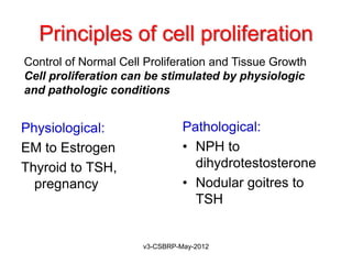Principles of cell proliferation
Control of Normal Cell Proliferation and Tissue Growth
Cell proliferation can be stimulated by physiologic
and pathologic conditions


Physiological:                  Pathological:
EM to Estrogen                  • NPH to
Thyroid to TSH,                   dihydrotestosterone
  pregnancy                     • Nodular goitres to
                                  TSH


                      v3-CSBRP-May-2012
 