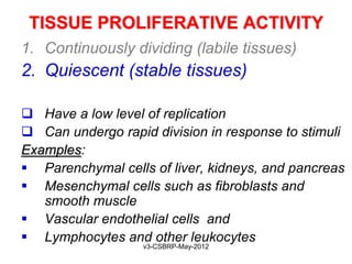 TISSUE PROLIFERATIVE ACTIVITY
1. Continuously dividing (labile tissues)
2. Quiescent (stable tissues)

 Have a low level of replication
 Can undergo rapid division in response to stimuli
Examples:
 Parenchymal cells of liver, kidneys, and pancreas
 Mesenchymal cells such as fibroblasts and
   smooth muscle
 Vascular endothelial cells and
 Lymphocytes and other leukocytes
                   v3-CSBRP-May-2012
 