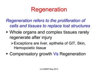 Regeneration
Regeneration refers to the proliferation of
  cells and tissues to replace lost structures
 Whole organs and complex tissues rarely
  regenerate after injury
  Exceptions are liver, epithelia of GIT, Skin,
   Hemopoietic tissue
 Compensatory growth Vs Regeneration


                   v3-CSBRP-May-2012
 