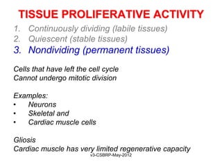 TISSUE PROLIFERATIVE ACTIVITY
1. Continuously dividing (labile tissues)
2. Quiescent (stable tissues)
3. Nondividing (permanent tissues)
Cells that have left the cell cycle
Cannot undergo mitotic division

Examples:
•  Neurons
•  Skeletal and
•  Cardiac muscle cells

Gliosis
Cardiac muscle has very limited regenerative capacity
                         v3-CSBRP-May-2012
 