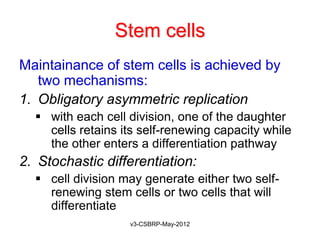 Stem cells
Maintainance of stem cells is achieved by
   two mechanisms:
1. Obligatory asymmetric replication
   with each cell division, one of the daughter
    cells retains its self-renewing capacity while
    the other enters a differentiation pathway
2. Stochastic differentiation:
   cell division may generate either two self-
    renewing stem cells or two cells that will
    differentiate
                   v3-CSBRP-May-2012
 