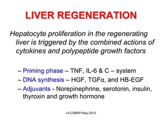 LIVER REGENERATION
Hepatocyte proliferation in the regenerating
 liver is triggered by the combined actions of
 cytokines and polypeptide growth factors

  – Priming phase – TNF, IL-6 & C – system
  – DNA synthesis – HGF, TGFα, and HB-EGF
  – Adjuvants - Norepinephrine, serotonin, insulin,
    thyroxin and growth hormone

                   v3-CSBRP-May-2012
 