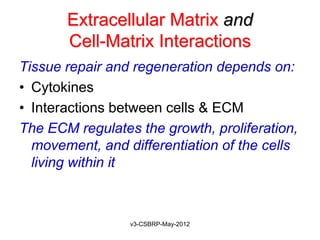 Extracellular Matrix and
       Cell-Matrix Interactions
Tissue repair and regeneration depends on:
• Cytokines
• Interactions between cells & ECM
The ECM regulates the growth, proliferation,
  movement, and differentiation of the cells
  living within it



                 v3-CSBRP-May-2012
 