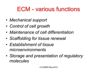 ECM - various functions
• Mechanical support
• Control of cell growth
• Maintenance of cell differentiation
• Scaffolding for tissue renewal
• Establishment of tissue
  microenvironments
• Storage and presentation of regulatory
  molecules
                 v3-CSBRP-May-2012
 