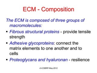 ECM - Composition
The ECM is composed of three groups of
  macromolecules:
 Fibrous structural proteins - provide tensile
  strength
 Adhesive glycoproteins: connect the
  matrix elements to one another and to
  cells
 Proteoglycans and hyaluronan - resilience
                  v3-CSBRP-May-2012
 