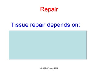 Repair

Tissue repair depends on:

  the ability of the tissue to
   regenerate and
  the extent of the injury


            v3-CSBRP-May-2012
 