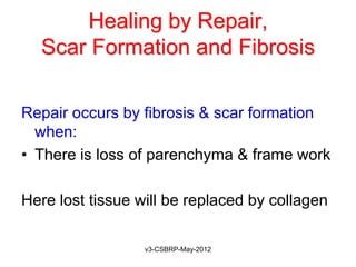 Healing by Repair,
  Scar Formation and Fibrosis

Repair occurs by fibrosis & scar formation
  when:
• There is loss of parenchyma & frame work

Here lost tissue will be replaced by collagen

                  v3-CSBRP-May-2012
 