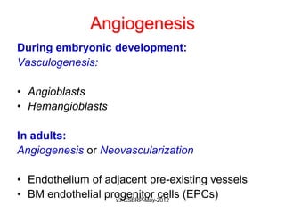 Angiogenesis
During embryonic development:
Vasculogenesis:

• Angioblasts
• Hemangioblasts

In adults:
Angiogenesis or Neovascularization

• Endothelium of adjacent pre-existing vessels
• BM endothelial progenitor cells (EPCs)
                   v3-CSBRP-May-2012
 