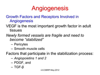 Angiogenesis
Growth Factors and Receptors Involved in
  Angiogenesis
VEGF is the most important growth factor in adult
  tissues
Newly formed vessels are fragile and need to
  become “stabilized”
   – Pericytes
   – Smooth muscle cells
Factors that participate in the stabilization process:
   – Angiopoietins 1 and 2
   – PDGF, and
   – TGF-β
                      v3-CSBRP-May-2012
 