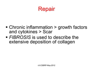 Repair


 Chronic inflammation > growth factors
  and cytokines > Scar
 FIBROSIS is used to describe the
  extensive deposition of collagen



               v3-CSBRP-May-2012
 